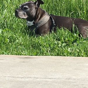 Meet your Posher, Walter